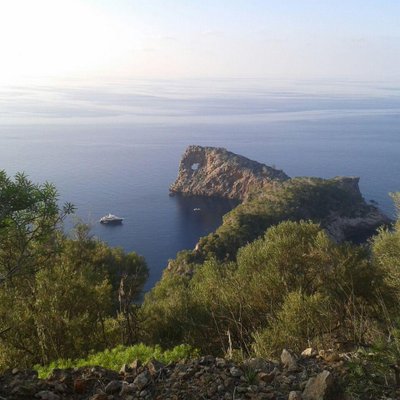 Profile Picture of David Vicens Munar (@VicensDavid) on Twitter