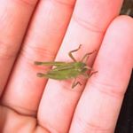 Profile Picture of JIAN YANG (@mommyfattydaddypoopy) on Instagram