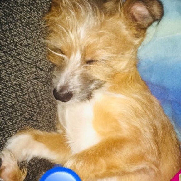 Aariel Claiborne - Poshmark Profile Picture of Aariel Claiborne (@aariel_c) on Poshmark