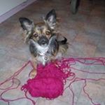 Profile Picture of Dawn Snowdon (@snowdondawn) on Instagram