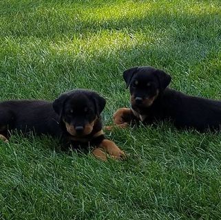 Profile Picture of Shari Pryor (@shari.pryor.5) on Facebook