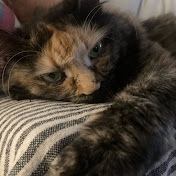 Profile Picture of Gabriel Feliciano (@gabriel_feliciano09) on Youtube