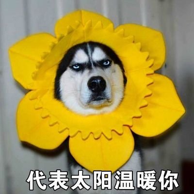 Profile Picture of Cheng Ling (@lingcheng2091) on Twitter