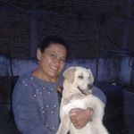 Profile Picture of Isabel Hermida (@i_hermida) on Instagram