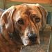 Profile Picture of Jeffery Doherty (@jdoh130) on Pinterest