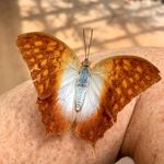 Profile Picture of Shelley Matheson (@shellmatheson) on Instagram