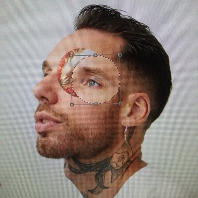 Profile Picture of Alex Noble (@Alexnoblestudio) on Twitter