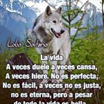 Profile Picture of Leismer Sanchez (@leismersanchez) on Instagram