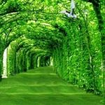 Profile Picture of jonathan charlie (@jonathancharlie) on Instagram