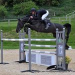 Profile Picture of David Murdoch (@murdoch_sport_horses) on Instagram