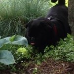 Profile Picture of Jose Luis Avena (@jl.avena) on Instagram