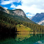 Profile Picture of Mark Rowlands (@markrowlands6316) on Youtube