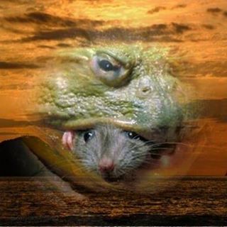 Profile Picture of Tammy Dennis (@tammy.dennis.125) on Facebook