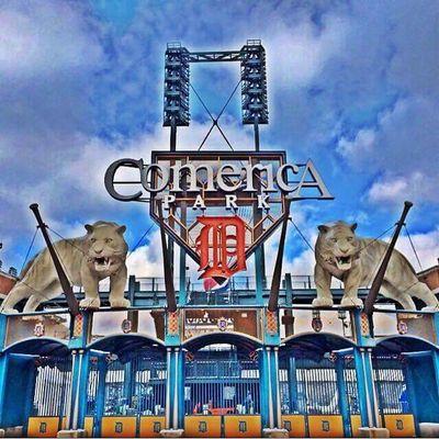 Profile Picture of Al Strauss (@albetheman) on Twitter