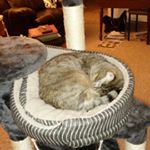 Profile Picture of Kim M Burchell (@kimburchell1959) on Instagram