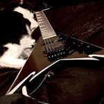 Profile Picture of Bob Higgins (@foggy_bob) on Instagram