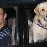 Profile Picture of Eli Rubenstein (@eli.rubenstein.3) on Instagram