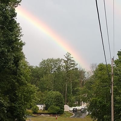 Bob Lind - Twitter Profile Picture of Bob Lind (@BobLind8) on Twitter