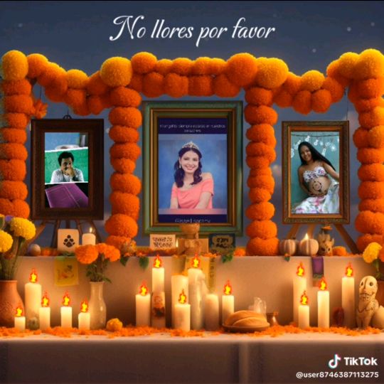 Profile Picture of Erick Alvarez (@user9295883745541) on Tiktok