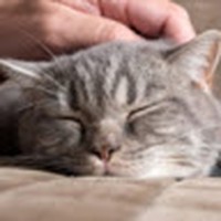 Profile Picture of Jacob Hamel (@jacob-hamel-10) on Quora