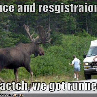 Profile Picture of Matthew Roser (@moosesox770) on Twitter