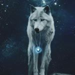 Profile Picture of Gerardo Lara (@geralara5546) on Instagram