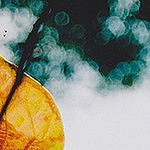 Profile Picture of Valerie Choi (@y e h l) on Flickr