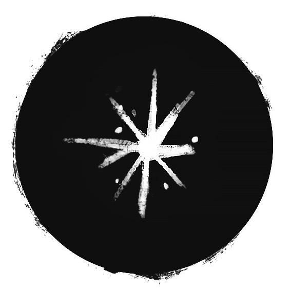 Profile Picture of kevinkiwus (@kevinkiwus) on Tiktok