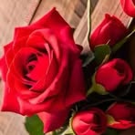 Profile Picture of Mina Abdelmalek (@Mina-Abdelmalek) on Facebook