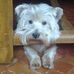 Profile Picture of Florence Barron (@florence.barron.52) on Facebook