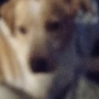 Profile Picture of Jonathan Labak (@jonathan-labak) on Quora