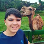 Profile Picture of Daniel Asenjo de Santos (@asenjo_31) on Instagram