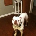 Profile Picture of Alisia Jimenez Valenzuela (@valenzuelaalisia) on Instagram