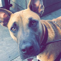 Profile Picture of Julia Makris (@julia-makris-2) on Quora