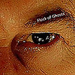 Profile Picture of John Preston (@Flock of Ghosts) on Flickr