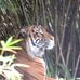 Profile Picture of Mark Staton (@mark.staton.587) on Facebook