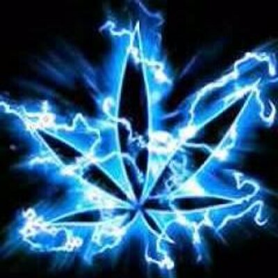 Profile Picture of Brian Farfan (@brianfarfan1) on Twitter