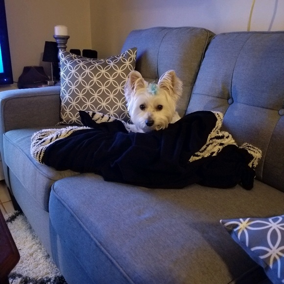 Profile Picture of Sara Terhune (@saraterhune) on Poshmark