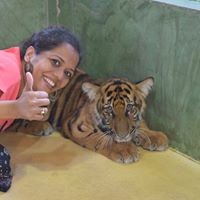 Profile Picture of Priya Sunil Srinivasan (@priya-sunil-srinivasan) on Quora