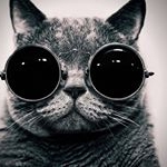 Profile Picture of Peter Terekhin (@peterterekhin) on Instagram