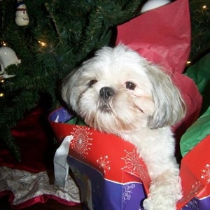 Profile Picture of Tina Swalley (@236578584) on Myspace