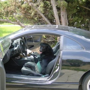 Profile Picture of Matthew Winegar (@172168367) on Myspace