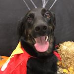 Profile Picture of Barb Kymlicka (@bkymlickova) on Instagram