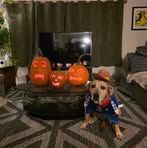 Profile Picture of Jeremy Falkner (@jeremy.falkner.3) on Facebook