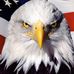 Profile Picture of Heath Wolfe (Heath Allen Wolfe) (@wolfeman46) on Facebook