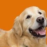 Profile Picture of Johnson Gilbert (@johngilbert222) on Instagram