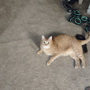 Profile Picture of Justin R (@JustinR-r7f) on Youtube