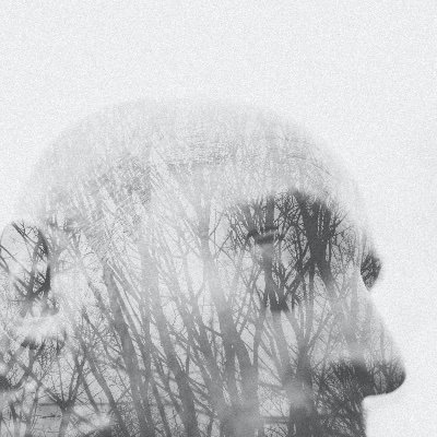 Profile Picture of Alex Bonney (@alex_bonney) on Twitter