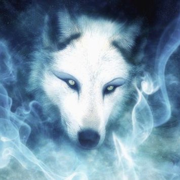 Profile Picture of Bryan Ramirez (@bryan_is_lit) on Twitter