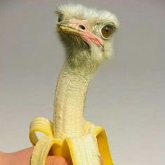 Profile Picture of Christopher Hanbury (@Christo13100006) on Twitter